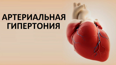 Артериальная гипертония - что способствует ее развитию?