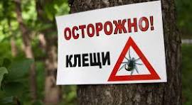 Осторожно! Крымская геморрагическая лихорадка!