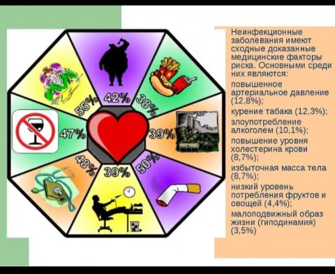 Профилактика хронических неинфекционных заболеваний (ХНИЗ).