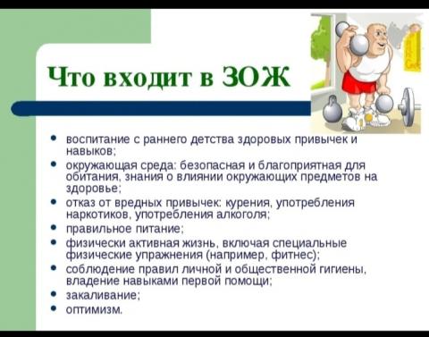 ЗОЖ