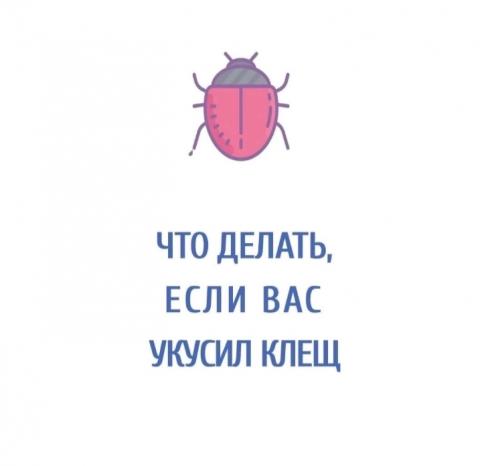 Куда обращаться если обнаружили на себе клеща...